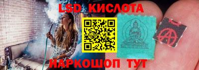 прущие грибы Мариинск