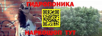 прущие грибы Мариинск