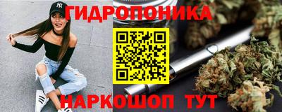 прущие грибы Мариинск