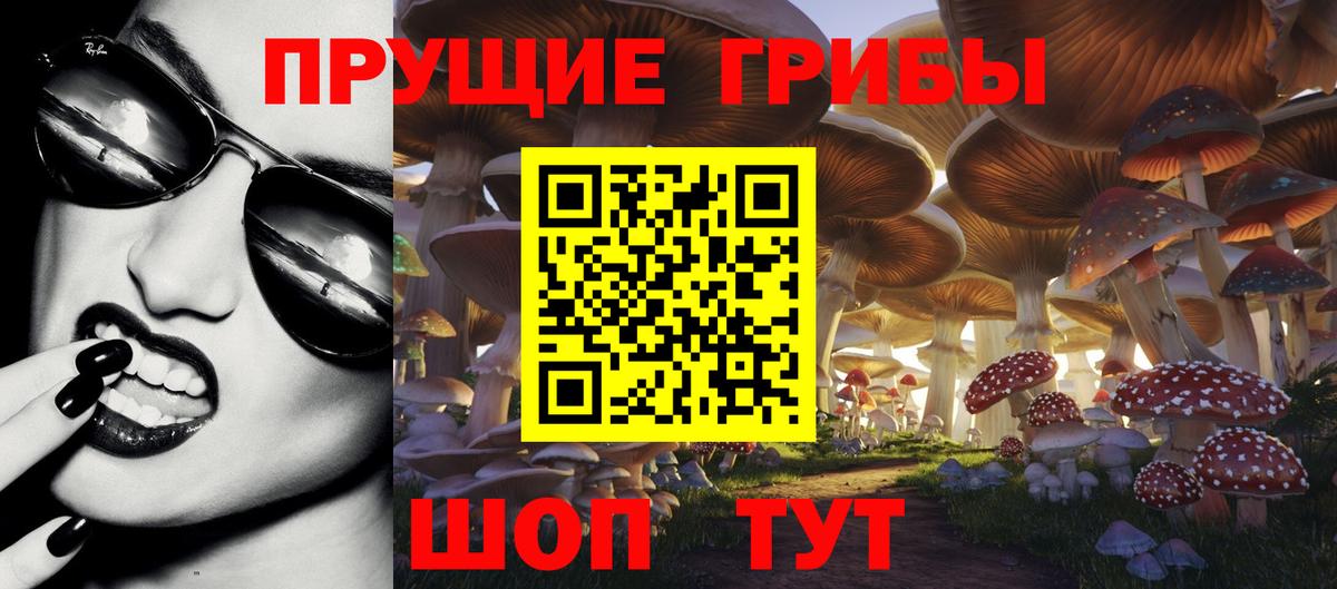 Псилоцибиновые грибы Psilocybe  Вход с VPN  Сорочинск  Галлюциногенные грибы Cubensis 